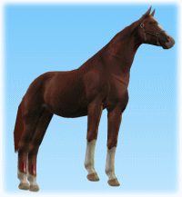 horse Rc